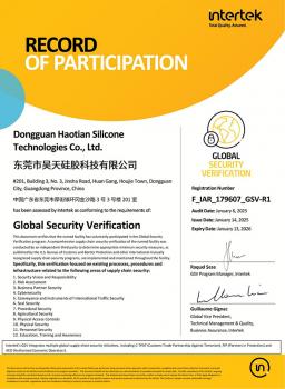 GSV驗廠認證報告